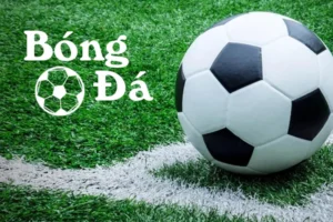 Cách Xác Định Bóng Trong Cuộc Và Bóng Ngoài Cuộc Chuẩn Xác