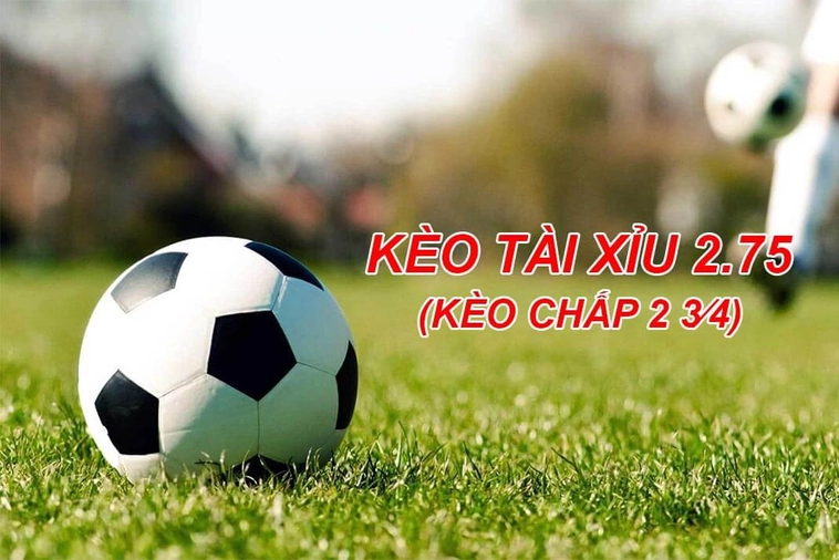Cách Đọc Kèo 2.75 Trong Bóng Đá Và Bí Quyết Thắng Lớn