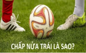 Tuyệt Chiêu Thắng Kèo Chấp 0.5 Dành Cho Mọi Người Chơi
