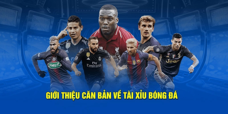 Kèo Tài Xỉu Bóng Đá Và Những Con Số Thống Kê Hiệu Suất