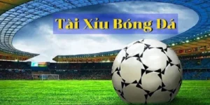 Kèo Tài Xỉu Bóng Đá Và Những Con Số Thống Kê Hiệu Suất