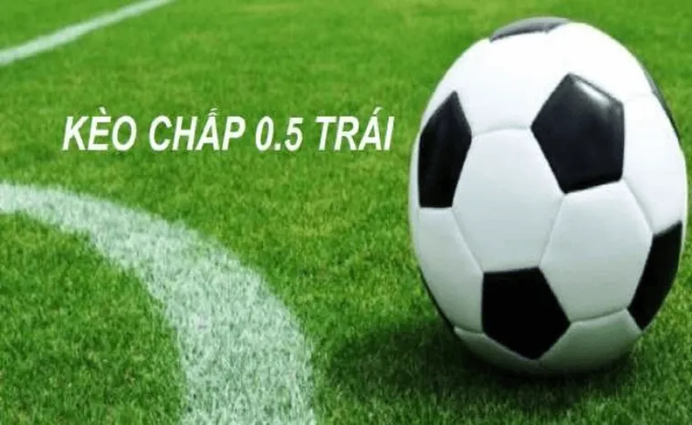 Tuyệt Chiêu Thắng Kèo Chấp 0.5 Dành Cho Mọi Người Chơi