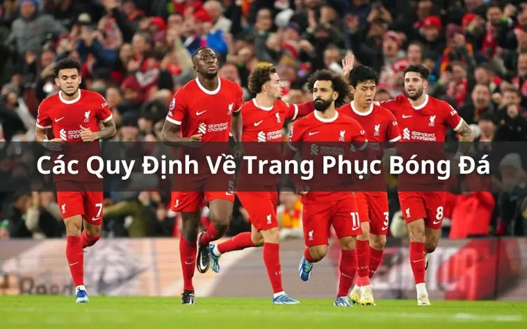 Hướng Dẫn Quy Định Về Trang Phục Bóng Đá Chuyên Nghiệp Nhất