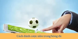 Cách Tính Kèo Xiên Trong Bóng Đá Để Nhận Thưởng Cực Lớn